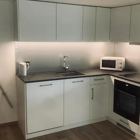 Appartement Forest Brienz (Bern)