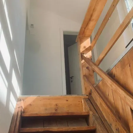 Forest Appartement